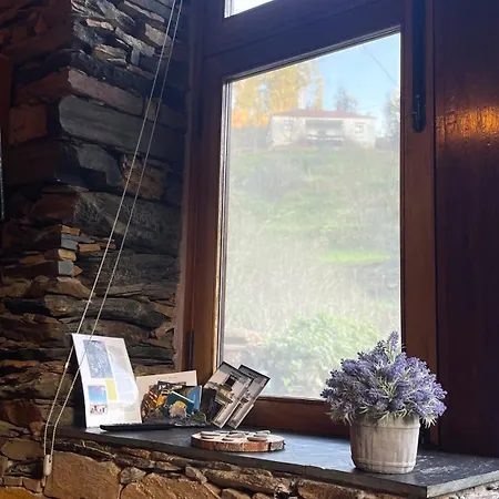 Casa Da Ribeira- Aldeia Da Paradinha Com Fluvial Arouca