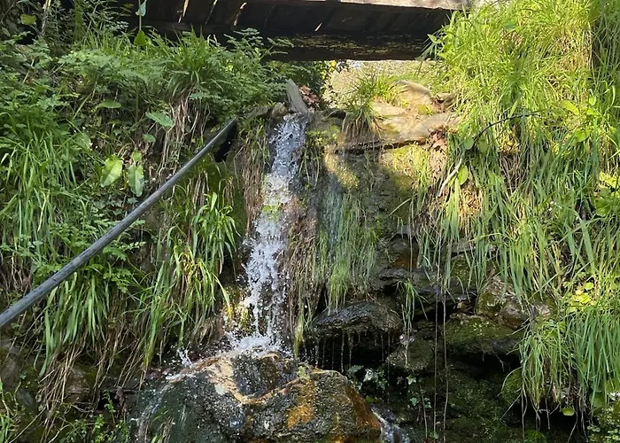 Casa Da Ribeira- Aldeia Da Paradinha Com Fluvial Arouca
